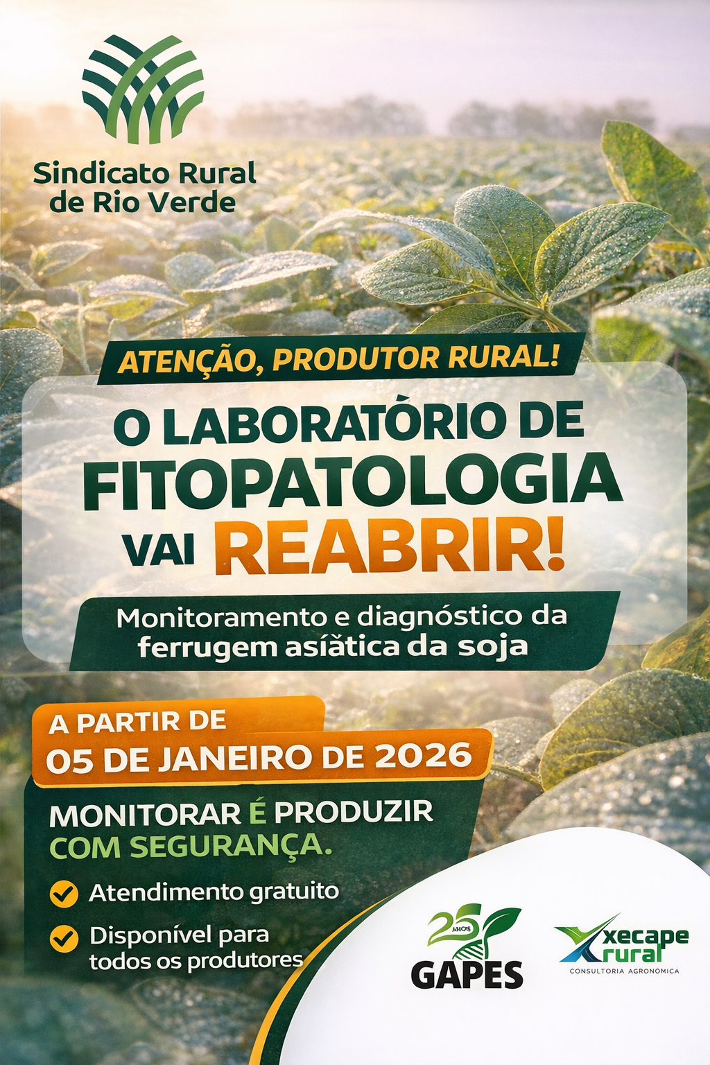 Leia mais sobre o artigo LABORATÓRIO DE FITOPATOLOGIA INICIA ATIVIDADES EM JANEIRO PARA MONITORAMENTO DA FERRUGEM ASIÁTICA DA SOJA EM RIO VERDE