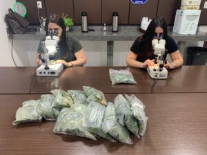 Leia mais sobre o artigo LABORATÓRIO DO SINDICATO RURAL DE RIO VERDE REFORÇA PAPEL ESTRATÉGICO NO MONITORAMENTO DA FERRUGEM ASIÁTICA DA SOJA