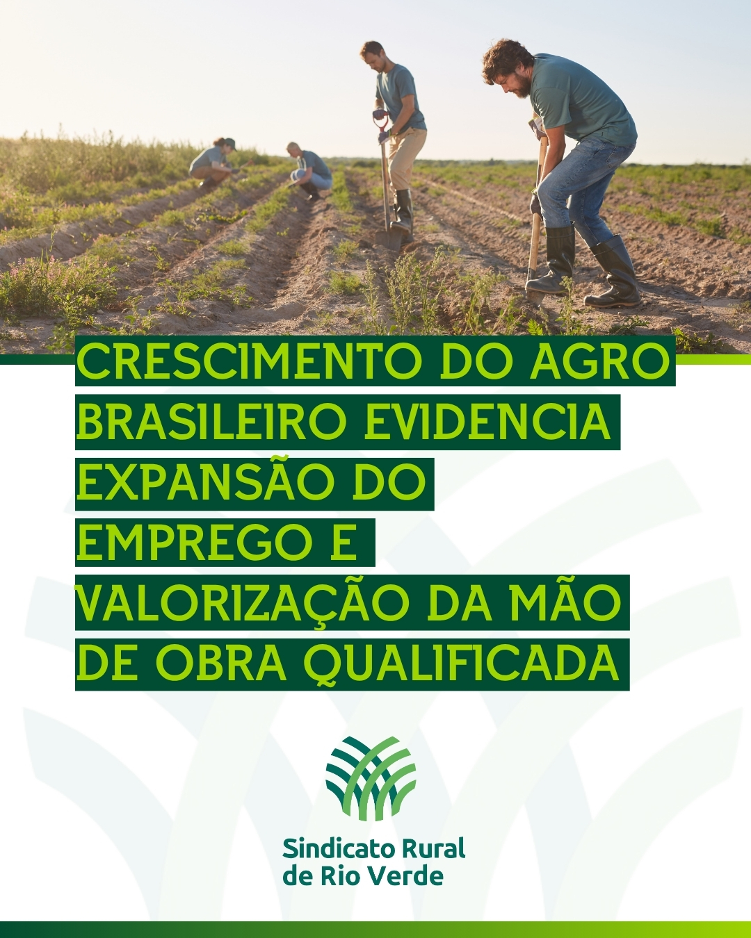Leia mais sobre o artigo CRESCIMENTO DO AGRO BRASILEIRO EVIDENCIA EXPANSÃO DO EMPREGO E VALORIZAÇÃO DA MÃO DE OBRA QUALIFICADA
