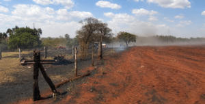 Leia mais sobre o artigo APÓS INCÊNDIO DESTRUIR SEIS HECTARES, PRODUTOR RURAL FAZ ALERTA SOBRE OS RISCOS DA SECA