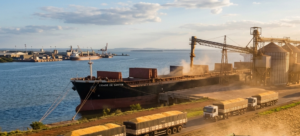 Leia mais sobre o artigo EXPORTAÇÕES DE MILHO GANHAM RITMO EM AGOSTO COM AVANÇO DA SEGUNDA SAFRA