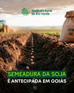 Leia mais sobre o artigo AGRODEFESA ANTECIPA INÍCIO DA SEMEADURA DA SOJA EM GOIÁS PARA 20 DE SETEMBRO