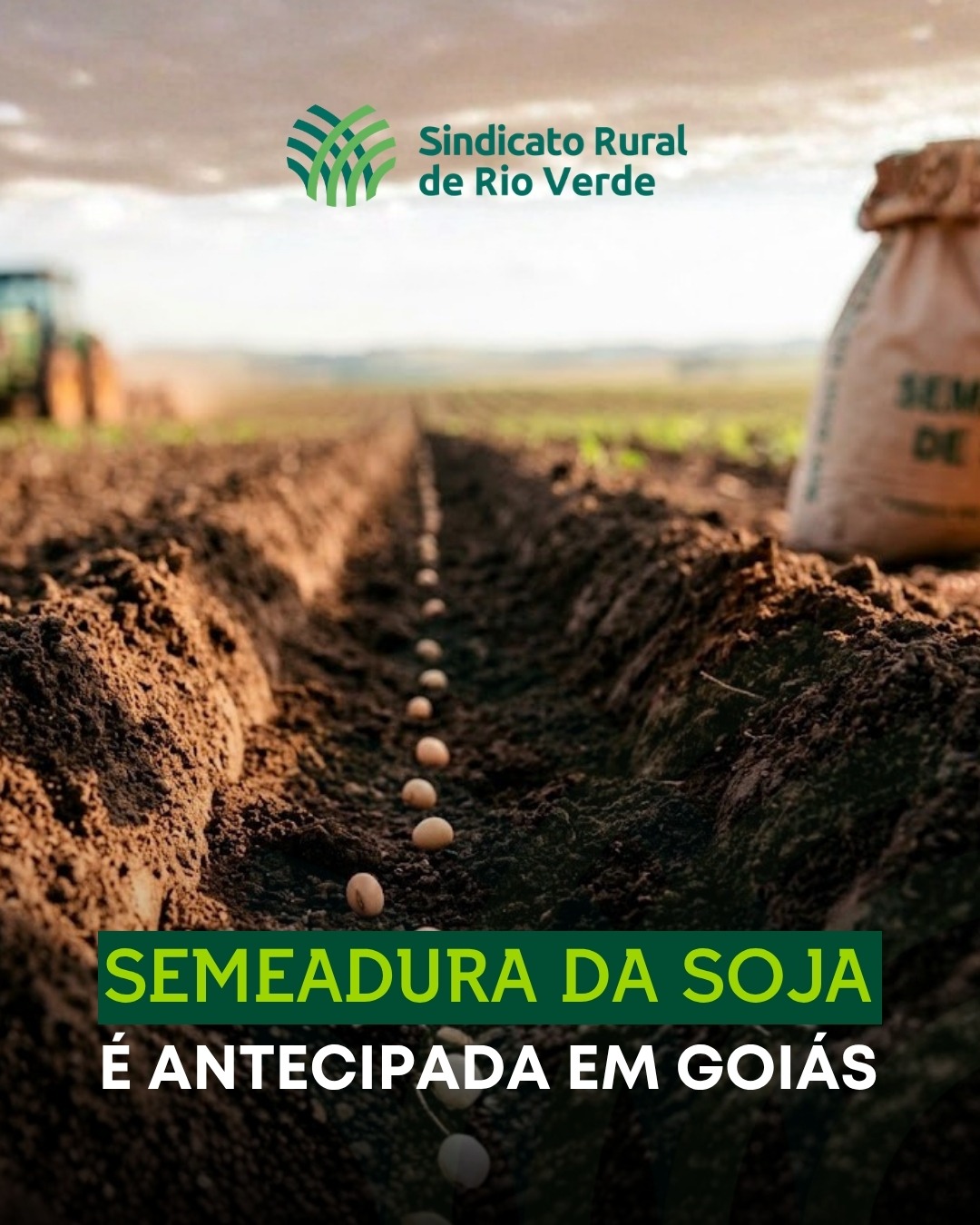 Leia mais sobre o artigo AGRODEFESA ANTECIPA INÍCIO DA SEMEADURA DA SOJA EM GOIÁS PARA 20 DE SETEMBRO